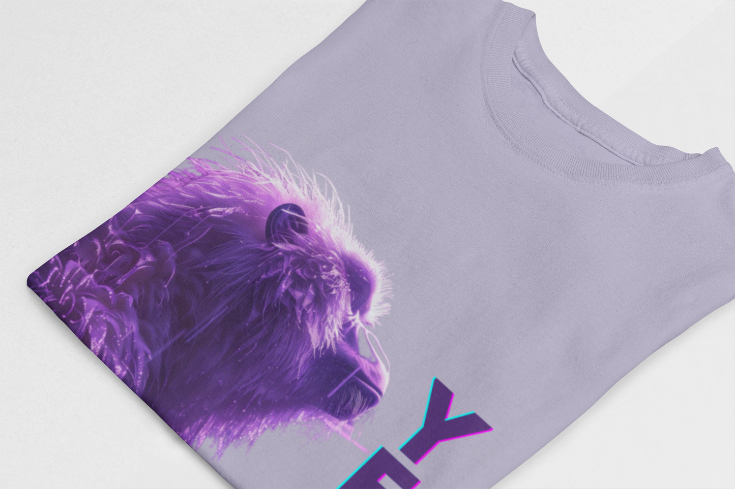 Yeti Unisex Oversized Front Print T-Shirt